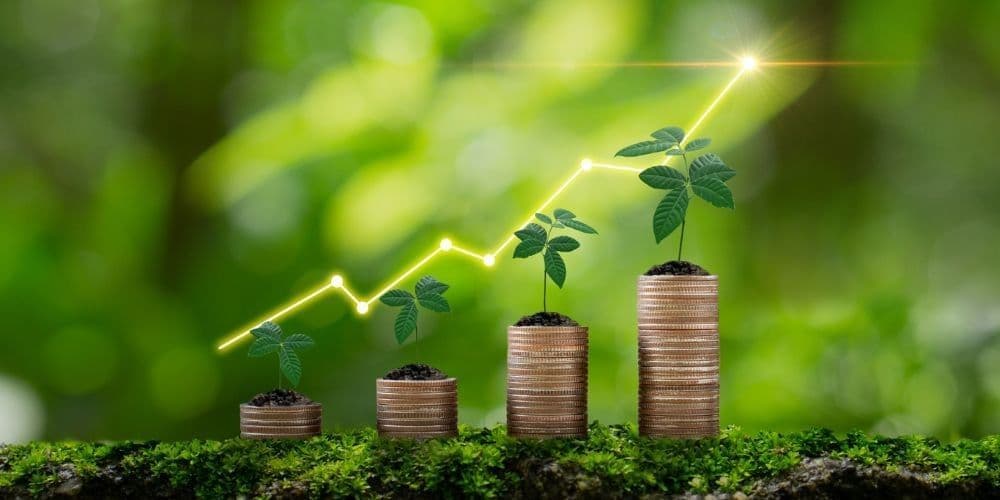 Finance & Insurance Services in San Francisco
