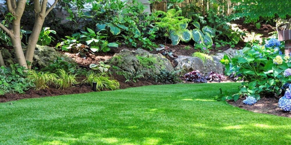 Landscape Contractors in San Francisco
